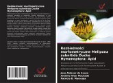Rozbie¿no¿ci morfometryczne Melipona subnitida Ducke Hymenoptera: Apid Rozbie¿no¿ci morfometryczne Melipona subnitida Ducke Hymenoptera: Apid