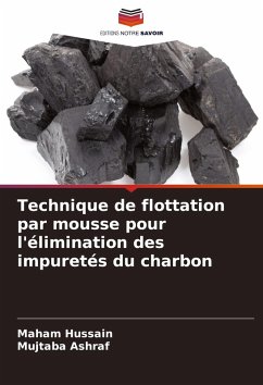 Cover Technique de flottation par mousse pour l'élimination des impuretés du charbon