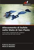 Allevamento di bufale nello Stato di San Paolo Allevamento di bufale nello Stato di San Paolo
