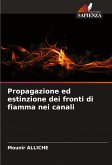 Propagazione ed estinzione dei fronti di fiamma nei canali