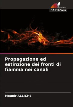 Cover Propagazione ed estinzione dei fronti di fiamma nei canali