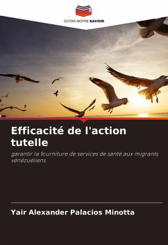 Efficacité de l'action tutelle - Palacios Minotta, Yair Alexander