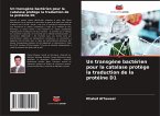Un transgène bactérien pour la catalase protège la traduction de la protéine D1 Un transgène bactérien pour la catalase protège la traduction de la protéine D1