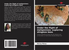 Under the flight of meliponines: exploring stingless bees - Pérez, Khriss