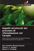 Aspetti strutturali del processo di riforestazione nel Carajás Aspetti strutturali del processo di riforestazione nel Carajás