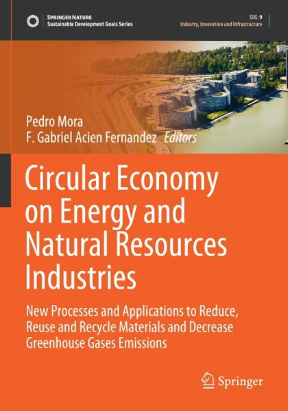 Circular Economy on Energy and Natural Resources Industries Circular Economy on Energy and Natural Resources Industries
