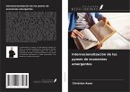 Internacionalización de las pymes de economías emergentes