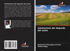Cover Valutazione del degrado del suolo