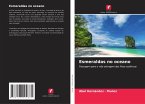 Esmeraldas no oceano Esmeraldas no oceano