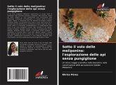 Sotto il volo delle meliponine: l'esplorazione delle api senza pungiglione