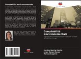 Comptabilité environnementale