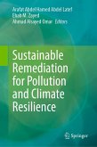 Sustainable Remediation for Pollution and Climate Resilience (eBook, PDF)