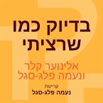 בדיוק כמו שרציתי (MP3-Download)