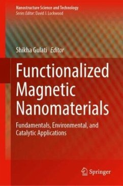 Cover Functionalized Magnetic Nanomaterials