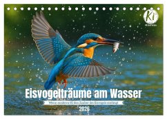 Eisvogelträume am Wasser (Tischkalender 2026 DIN A5 quer), CALVENDO Monatskalender Eisvogelträume am Wasser (Tischkalender 2026 DIN A5 quer), CALVENDO Monatskalender