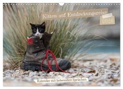 Kitten auf Entdeckungsreise (Wandkalender 2026 DIN A3 quer), CALVENDO Monatskalender Kitten auf Entdeckungsreise (Wandkalender 2026 DIN A3 quer), CALVENDO Monatskalender