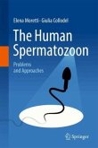 The Human Spermatozoon The Human Spermatozoon