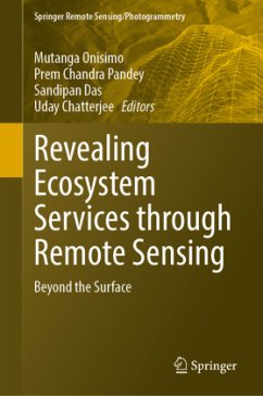 Cover Revealing Ecosystem Services through Remote Sensing