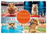 Hamster Olympiade - Der flauschigste... - Bild 1
