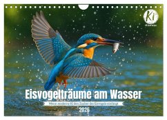 Eisvogelträume am Wasser (Wandkalender 2026 DIN A4 quer), CALVENDO Monatskalender Eisvogelträume am Wasser (Wandkalender 2026 DIN A4 quer), CALVENDO Monatskalender