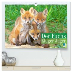 Der Fuchs: Kluger Jäger (hochwertiger Premium Wandkalender 2026 DIN A2 quer), Kunstdruck in Hochglanz
