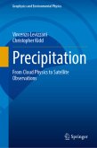 Precipitation Precipitation
