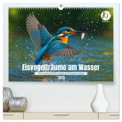 Eisvogelträume am Wasser (hochwertiger Premium Wandkalender 2026 DIN A2 quer), Kunstdruck in Hochglanz Eisvogelträume am Wasser (hochwertiger Premium Wandkalender 2026 DIN A2 quer), Kunstdruck in Hochglanz