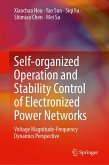 Self-Organized Operation and Stability Control of Electronized Power Networks