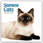Siamese Cats - Siamesische Katzen - Siamkatzen 2026 - Wand-Kalender
