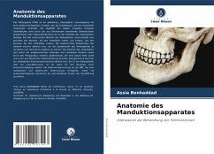 Anatomie des Manduktionsapparates - BENHADDAD, Assia Anatomie des Manduktionsapparates - BENHADDAD, Assia