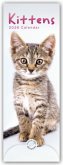 Kittens - Kätzchen - Katzenjunge 2026 - Slimline-Kalender