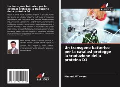 Cover Un transgene batterico per la catalasi protegge la traduzione della proteina D1