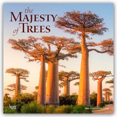 Cover The Majesty of Trees - Die Erhabenheit der Bäume 2026 - 16-Monatskalender