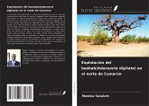 Explotación del baobab(Adansonia digitata) en el norte de Camerún