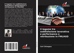 Cover Il legame tra soddisfazione lavorativa e performance e retribuzione in FMLHUD