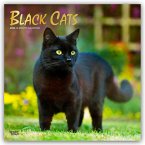 Black Cats - Schwarze Katzen 2026 - 16-Monatskalender