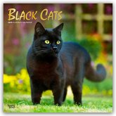 Black Cats - Schwarze Katzen 2026 - 16-Monatskalender Black Cats - Schwarze Katzen 2026 - 16-Monatskalender
