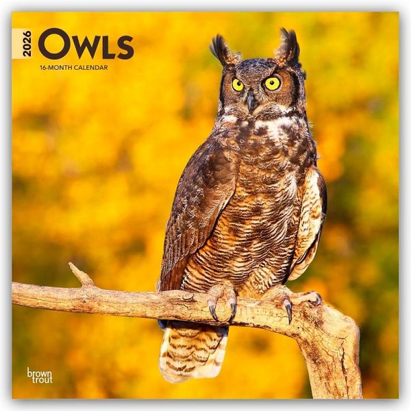 Owls - Eulen 2026 - 16-Monatskalender