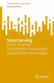 Street Sensing (eBook, PDF)
