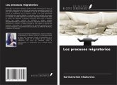 Los procesos migratorios Los procesos migratorios