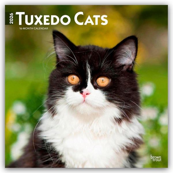 Tuxedo Cats - Tuxedo Katzen 2026 - 16-Monatskalender - BrownTrout / Flechsig