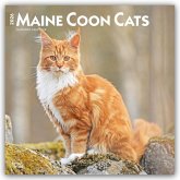 Maine Coon Cats - Maine Coon Katzen 2026 - 16-Monatskalender Maine Coon Cats - Maine Coon Katzen 2026 - 16-Monatskalender