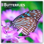 Butterflies 2026 12 X 24 Inch (Hanging) Monthly Square Wall Calendar Plastic-Free