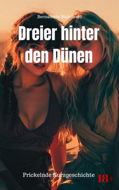 Cover Dreier hinter den Dünen (eBook, ePUB)