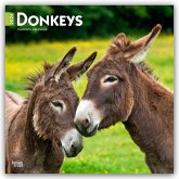 Donkeys - Esel 2026 - 16-Monatskalender Donkeys - Esel 2026 - 16-Monatskalender