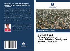 Cover Blütezeit und Samenbildung bei identifizierten Genotypen kleiner Zwiebeln