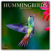 Hummingbirds - Kolibris 2026 - 16-Monatskalender Hummingbirds - Kolibris 2026 - 16-Monatskalender