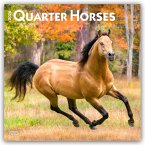 Quarter Horses 2026 12 X 24 Inch (Hanging) Monthly Square Wall Calendar Plastic-Free Quarter Horses 2026 12 X 24 Inch (Hanging) Monthly Square Wall Calendar Plastic-Free
