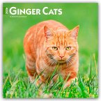 Ginger Cats 2026 12 X 24 Inch (Hanging) Monthly Square Wall Calendar Plastic-Free