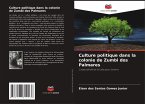 Culture politique dans la colonie de Zumbi dos Palmares